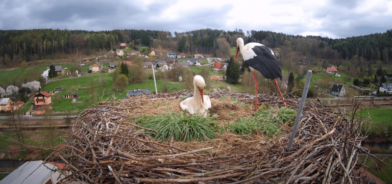 čapí hnízdo trutnov bohuslavice