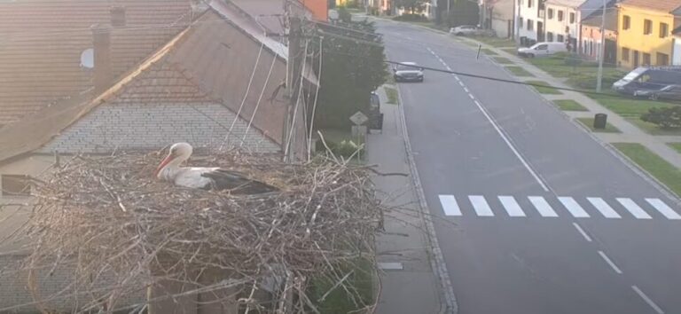 čápi podolí u uherského hradiště